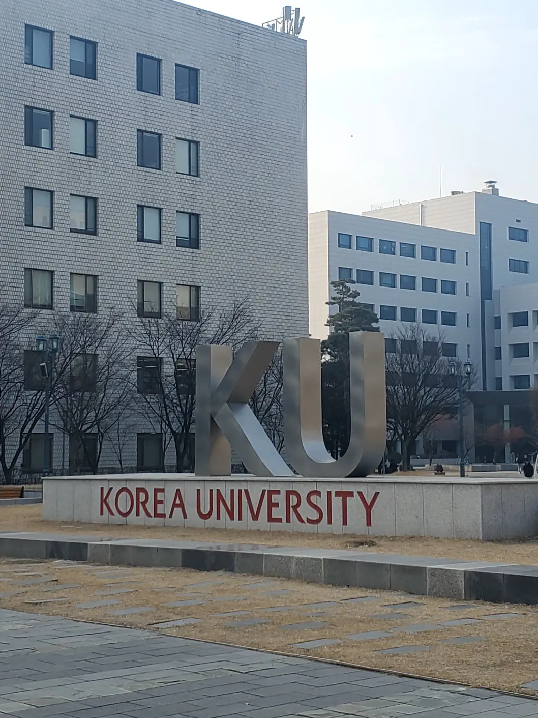 A photo of the Korea University artifact